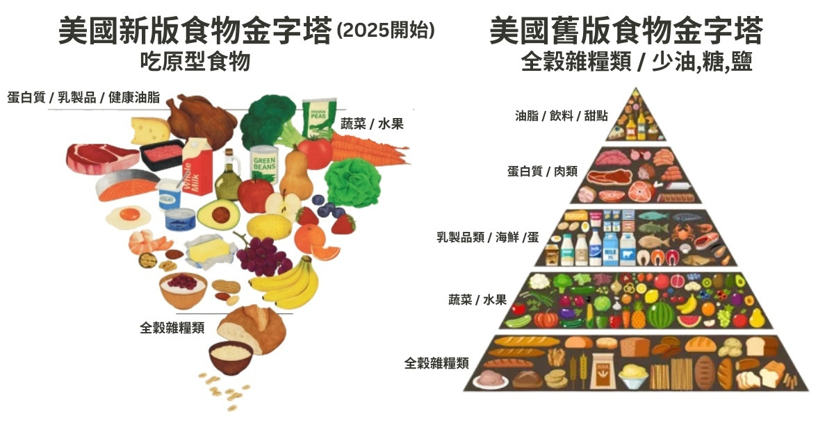 美國新舊版食物金字塔