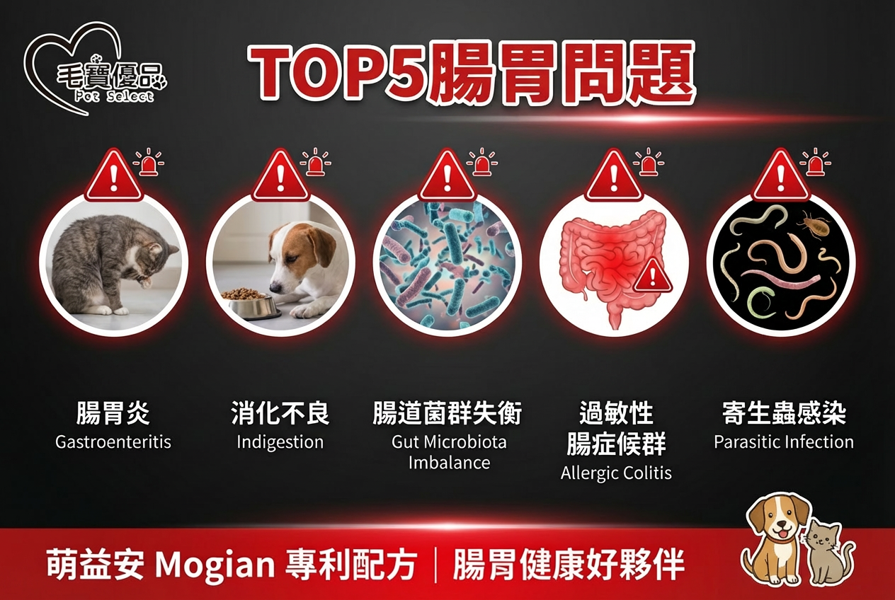 TOP5犬貓腸胃問題