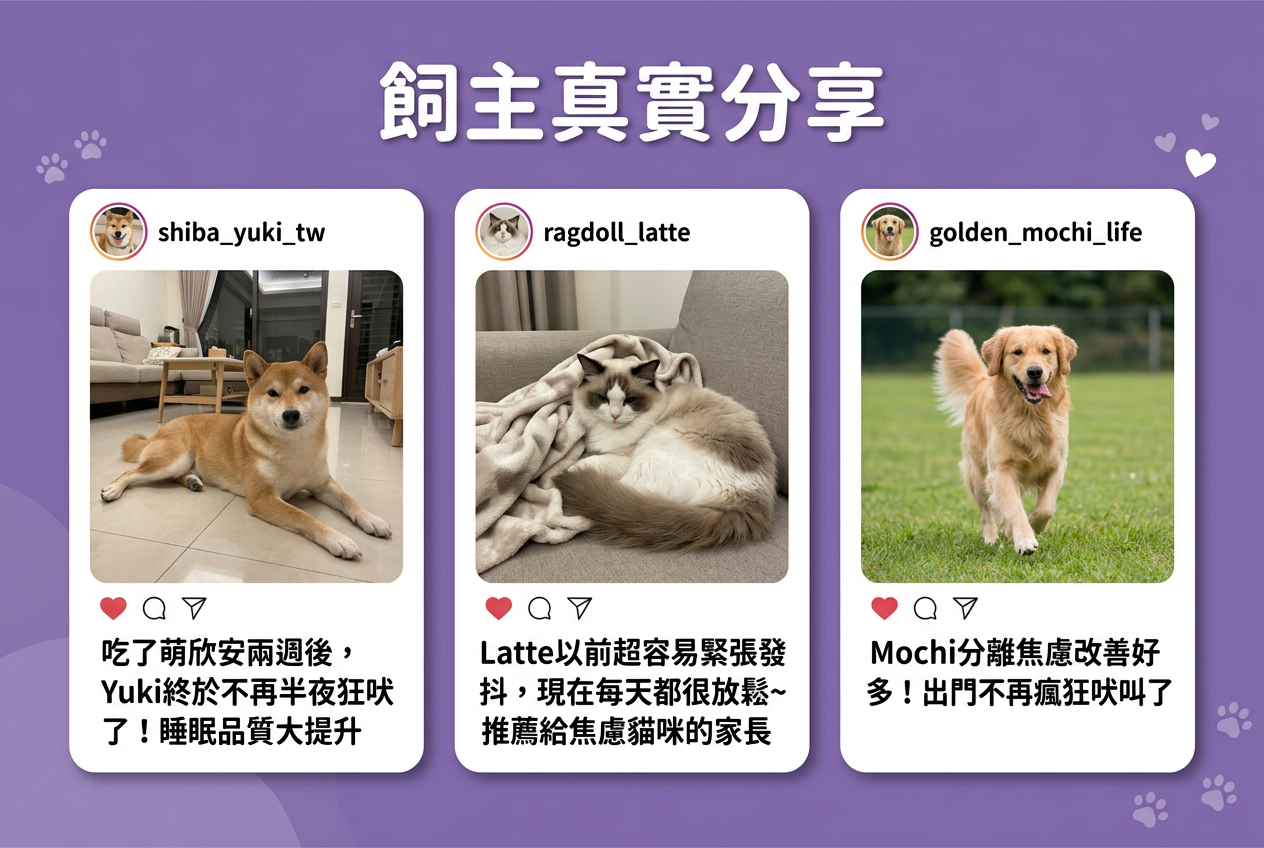 飼主真實分享 Instagram 評價