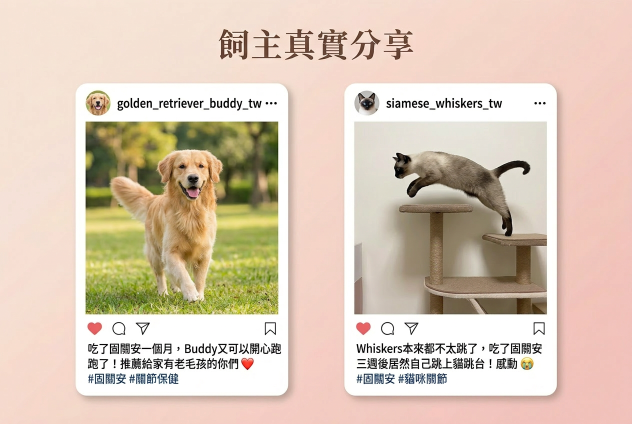 飼主真實分享 Instagram 評價