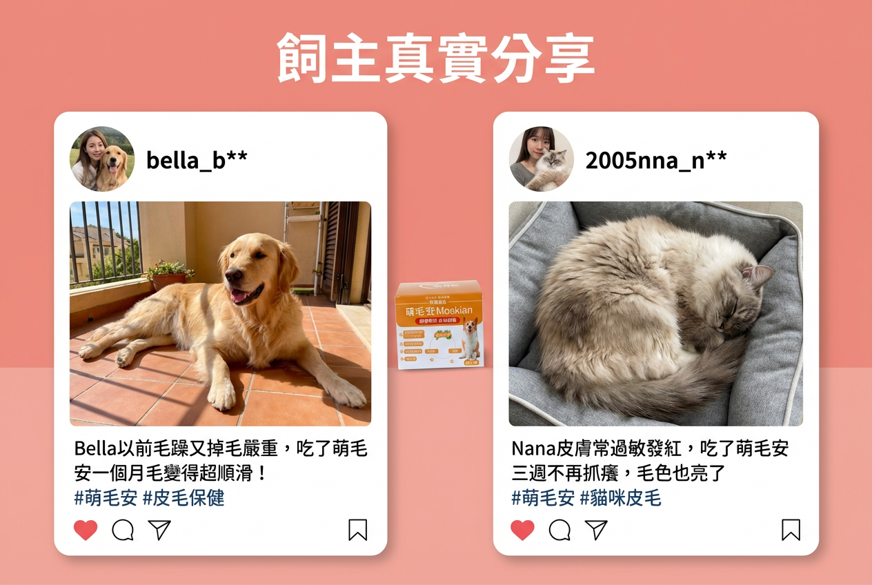 波斯貓Nana皮毛改善歷程