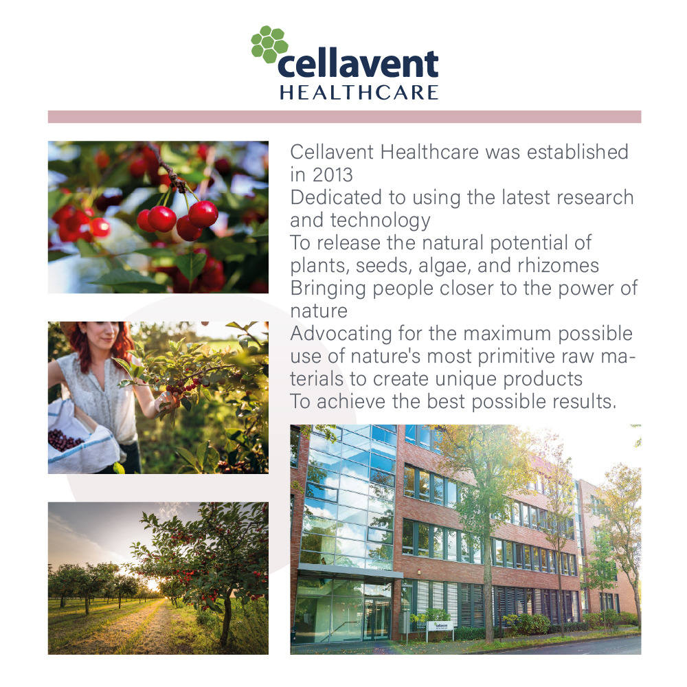 Cherry PLUS Concentrate