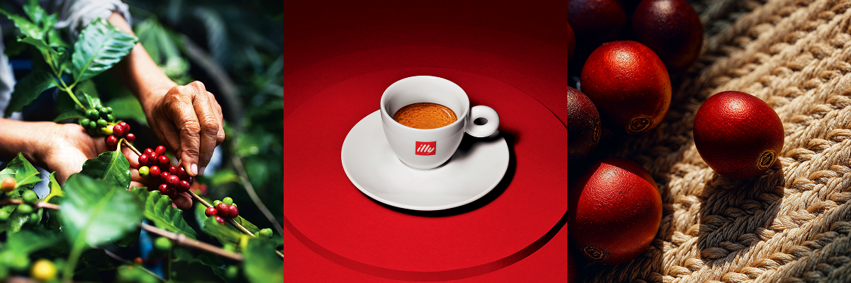 illy 咖啡示意圖