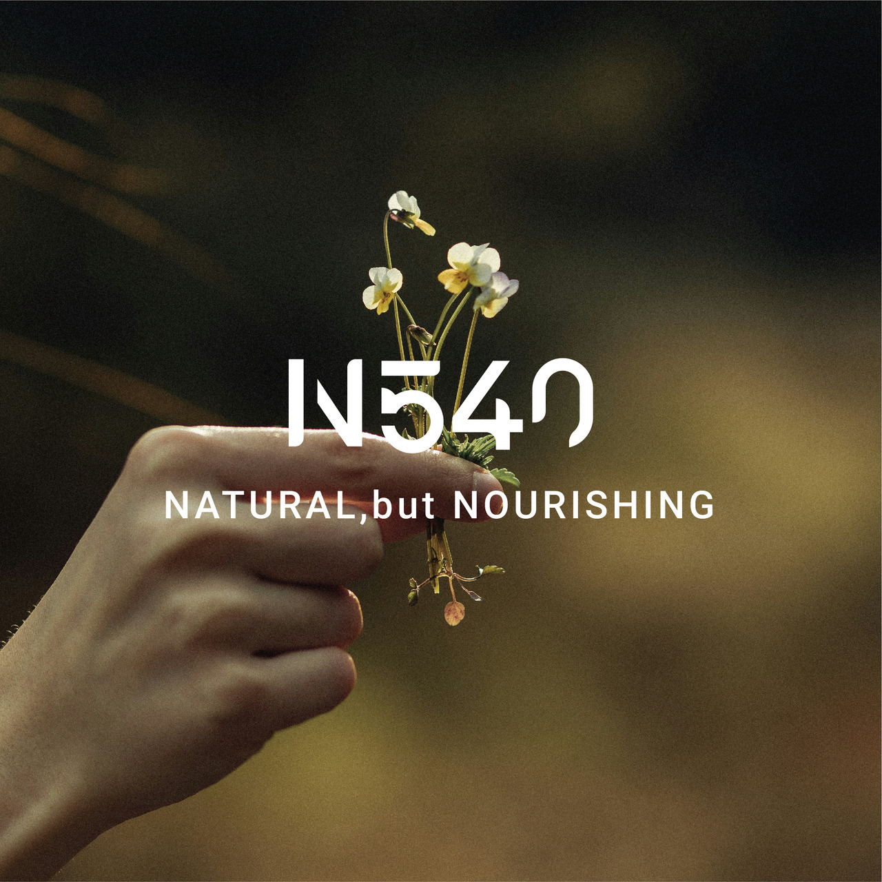 N540無矽靈全能修護乳