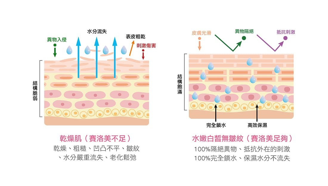 皮膚保水說明