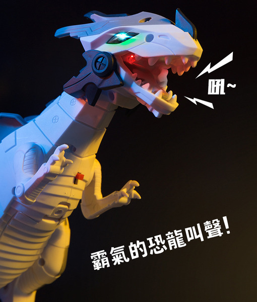 【敏潤奶奶雜貨舖】機械飛龍