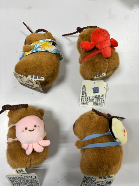 【可愛水豚君】掛件(泳圈.背包.花背心) 款式隨機出貨