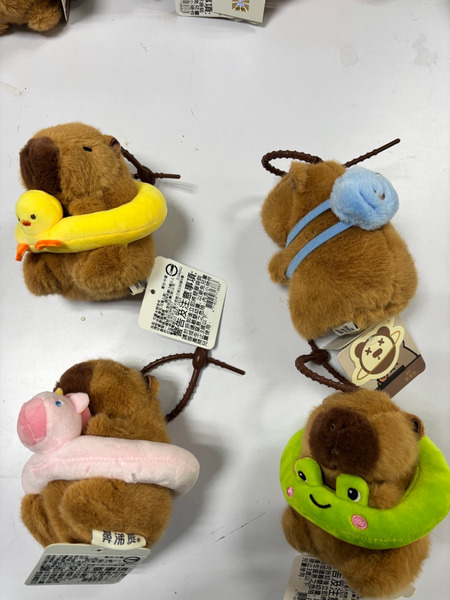 【可愛水豚君】掛件(泳圈.背包.花背心) 款式隨機出貨