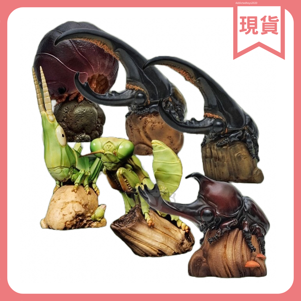 動物星球 心寬體胖 第七代 蟲蟲 系列明盒