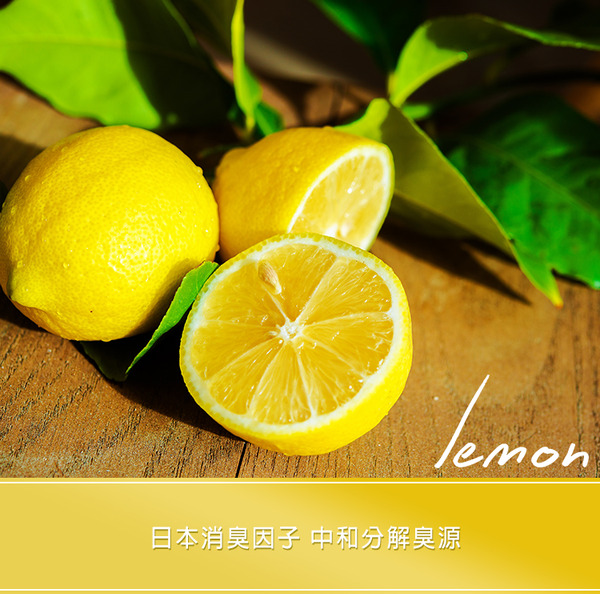 去味大師 備長碳消臭易 車內專用 1g 罐 花仙子官方商店 Farcent E Shop