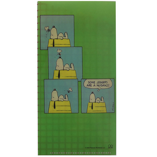 SNOOPY日製票券收納夾/口罩收納夾(70週年紀念II-綠)