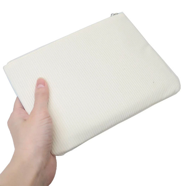 寶可夢Pokepeace扁平收納包(冬日窗邊)