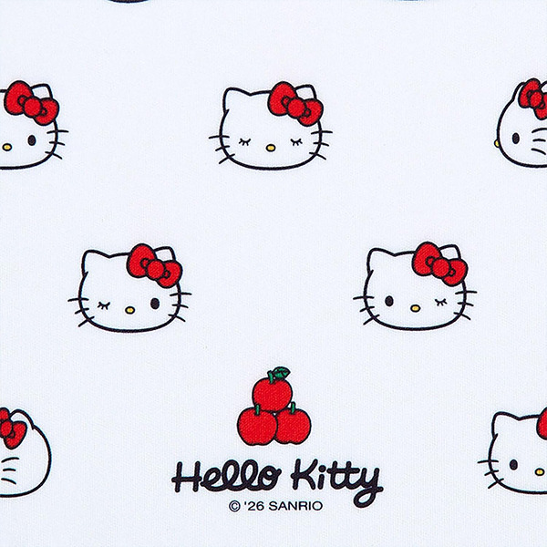 HELLO KITTY造型眼鏡收納盒(大臉)
