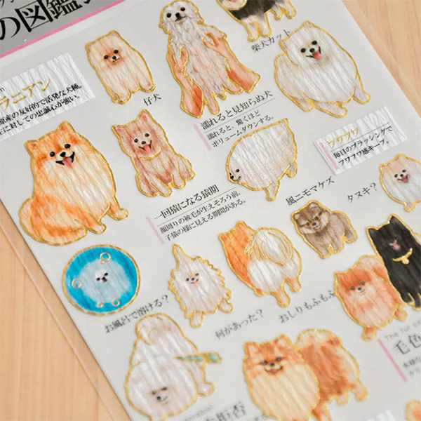 大人的圖鑑日製燙金手帳貼紙(博美犬)