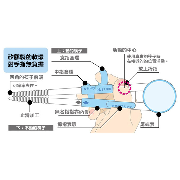 恐龍三階段兒童學習筷