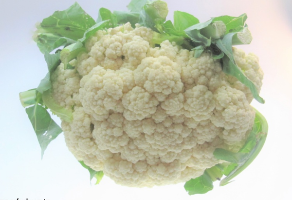 白花椰菜 一朵 李大娘買菜網