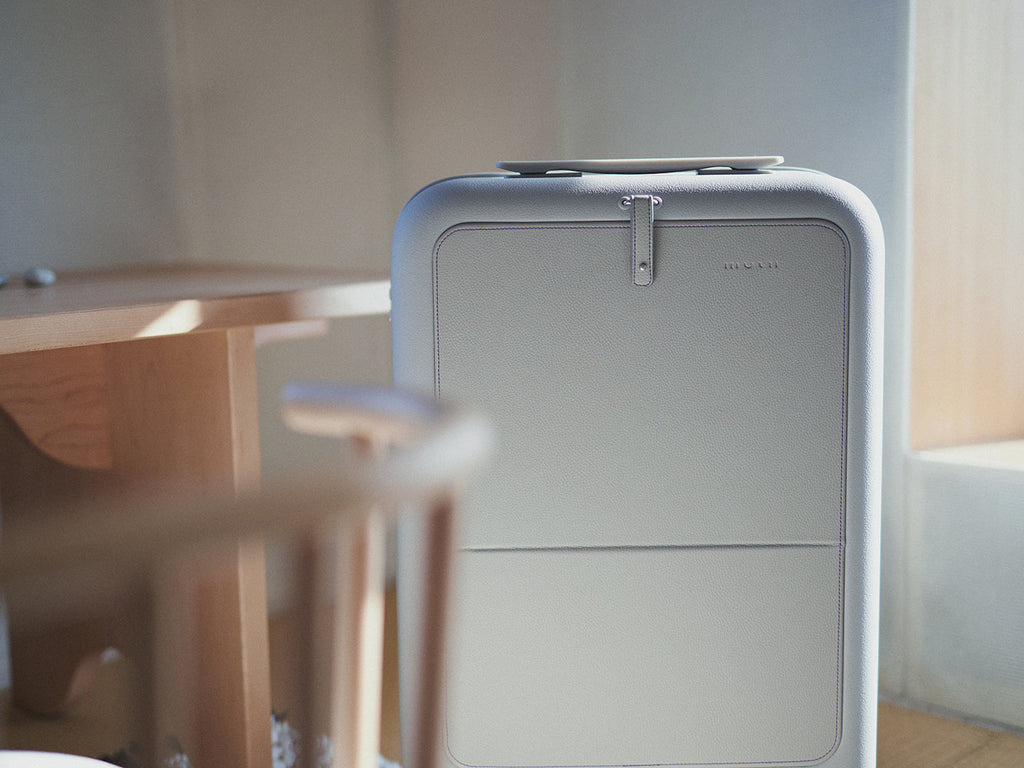 Moln 行李箱