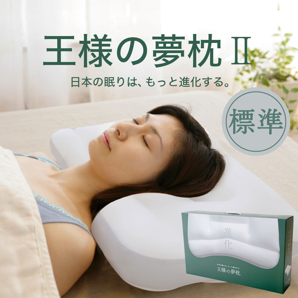 新 王樣夢枕 極夢 快眠枕
