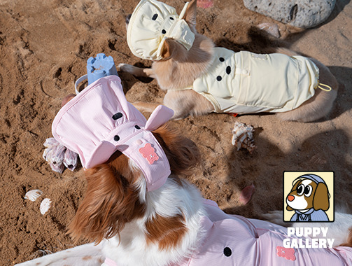 韓國 Puppy Gallery｜貝爾熊涼感背心【三色】