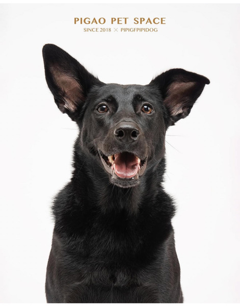 Rex Specs 薄荷綠護目鏡＋藍/綠/粉/銀鏡片