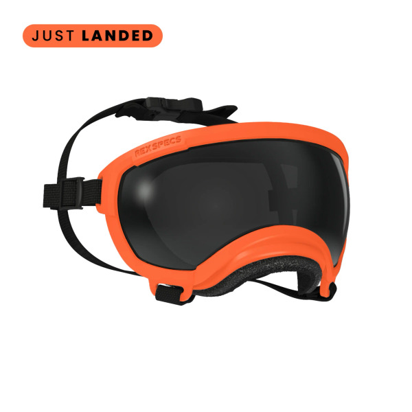 美國Rex Specs護目鏡