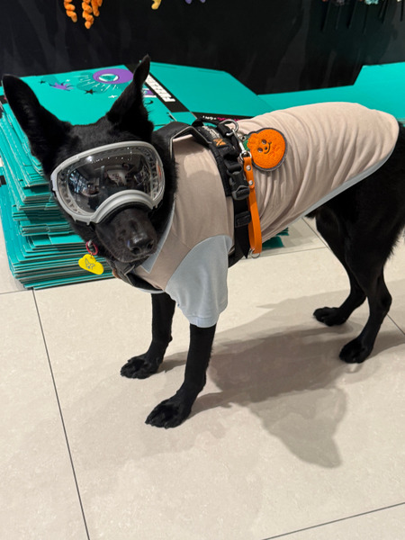 Rex Specs 綠色M鏡片