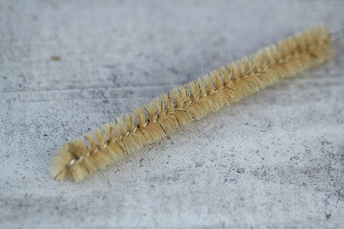 溝槽刷｜大目農田