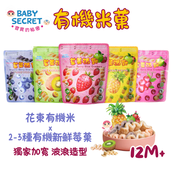 現貨 寶寶的秘密 12M+ 波浪莓菓派對米餅