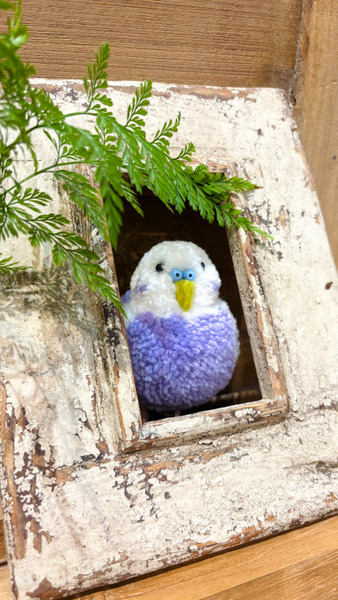 蓬蓬紫羅蘭虎鸚鵡擺飾