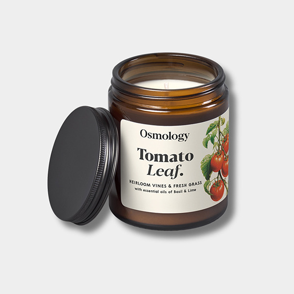 英國芳療香氛 Aery Living 棕罐香氛蠟燭│番茄藤 Tomato Leaf