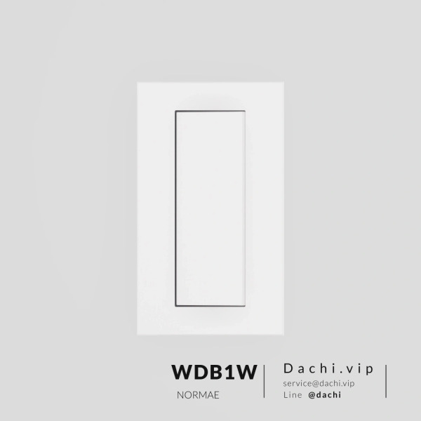 DACHI大噐 開關面板 一切+蓋板 霧白