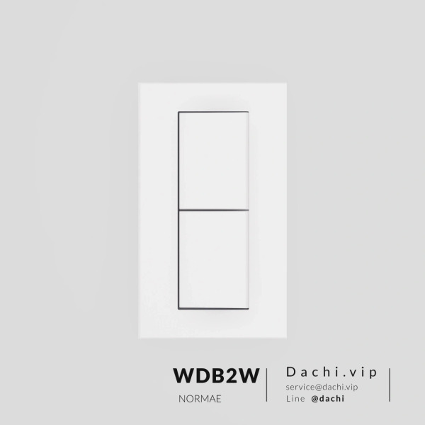 DACHI大噐 開關面板 二切+蓋板 霧白