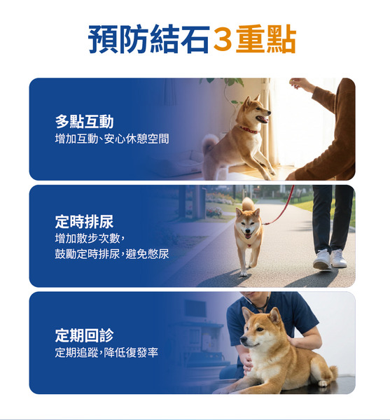 瑪恩吉VS 無穀優護泌尿道磷酸銨鎂處方犬糧/ 2kg (效期20270609後)