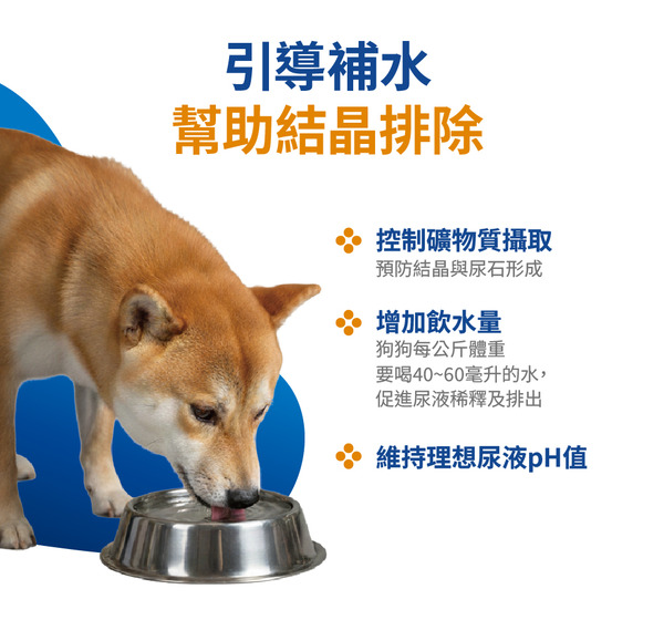 瑪恩吉VS 無穀優護泌尿道磷酸銨鎂處方犬糧/ 2kg (效期20270609後)