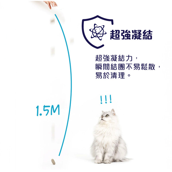 【藍鑽貓砂 Ever Clean】4倍淨味貓砂 無香、微香/8.5kg*6入｜新配方