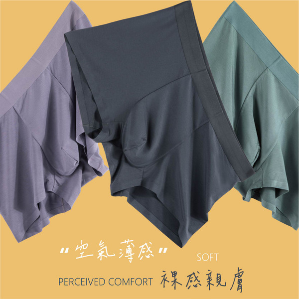 FE 莫代爾親膚雲感內褲 (舒柔款內褲同材質)