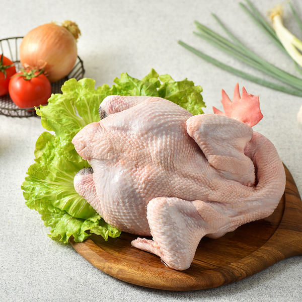 放養公土雞(全雞) 2.1-2.3公斤