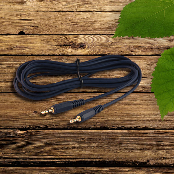 十全 隨身聽連接線 AA151