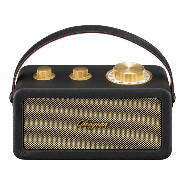 SANGEAN 調頻/藍牙喇叭 RA101