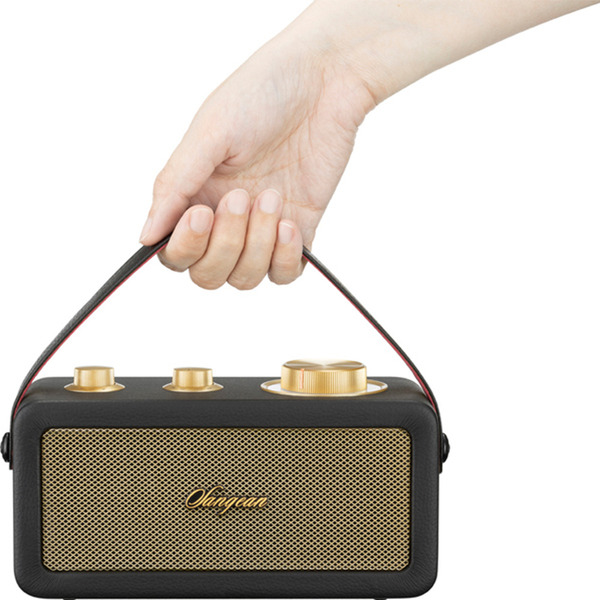 SANGEAN 調頻/藍牙喇叭 RA101