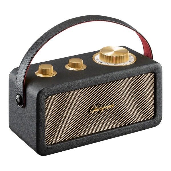 SANGEAN 調頻/藍牙喇叭 RA101