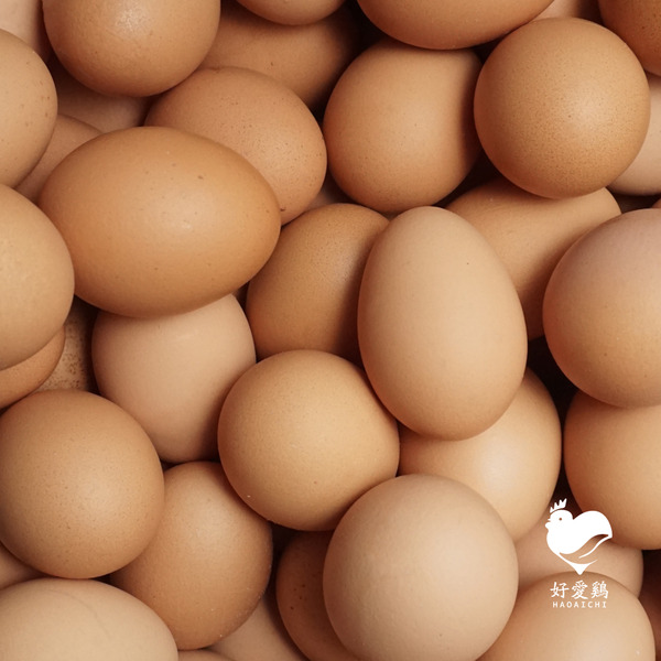 紅殼放牧蛋-家庭超值組