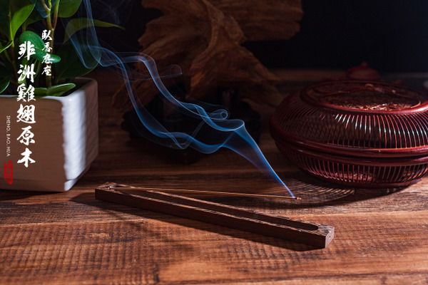 非洲雞翅原木｜臥香座