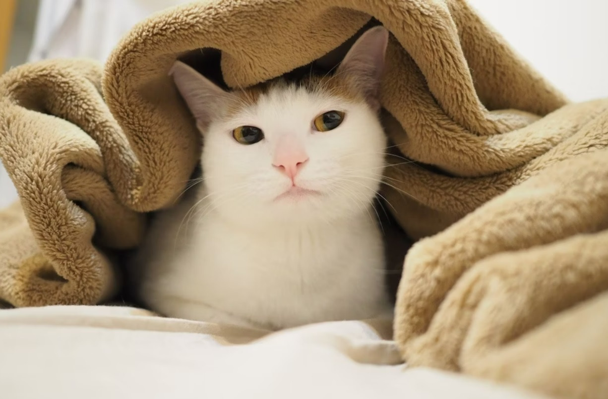 landing page product photo