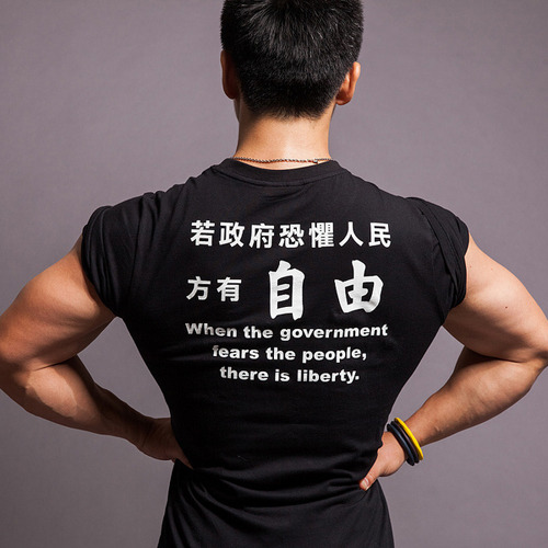 暴政vs 自由lucifer 暴政vs 自由lucifer