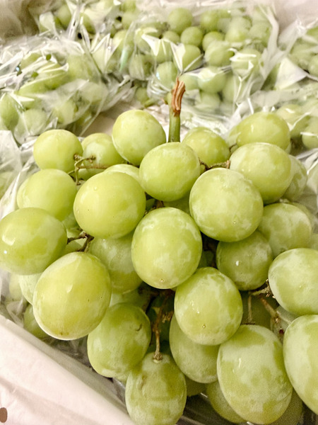 【精緻進口果物】頂級 Autumn Crisp 秋脆葡萄