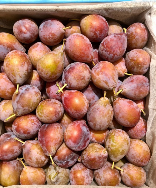 【精緻進口果物】南半球紫瑪瑙西梅｜奇蹟水果 Sugar Plums 3kg