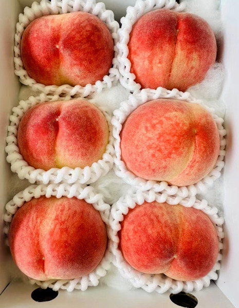 【精緻進口果物】日本山梨｜Yamanashi 溫室水蜜桃禮盒｜一盒6顆