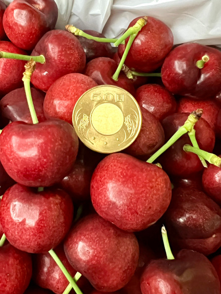 【精緻進口果物】美國加州 Coral 脆甜櫻桃｜2公斤