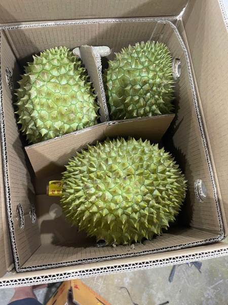 【精緻進口果物】越南頂級干堯榴槤｜特選A果｜到貨即發